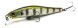 ZipBaits Rigge 70SP, 509