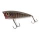Fladen Maxximus Big Popper 90, Black Trout