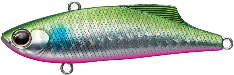 EverGreen Marvie 70, 821