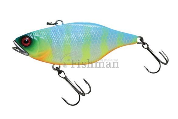 Jackall TN70 skull shell maruhata, Blue Back Chartreuse Gill