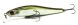 ZipBaits Rigge 70SP, 510R