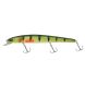 Fladen Maxximus Predator Conrad Original 220, PERCH