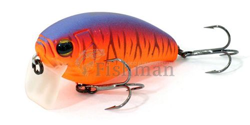 imakatsu ik revozero, 196