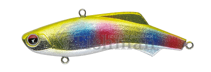 Madness Shiriten Vibe 53T, SY03