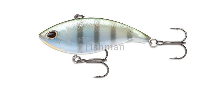 Storm Arashi Vibe, Blue Gill