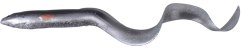 Savage Gear 3D Real Eel Loose Body 12cm 11g, 20