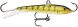 Rapala Jigging Rap W9, GYP
