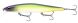 Rapala Precision Xtreme Mavrik 110, ODL