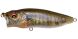 Megabass PopMax, Fa Gill
