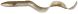Savage Gear 3D Real Eel Loose Body 12cm 11g, 22