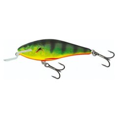Salmo Executor SR 05, RHP