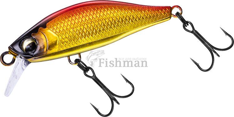 Daiwa Silver Creek Minnow 61S, Akakin