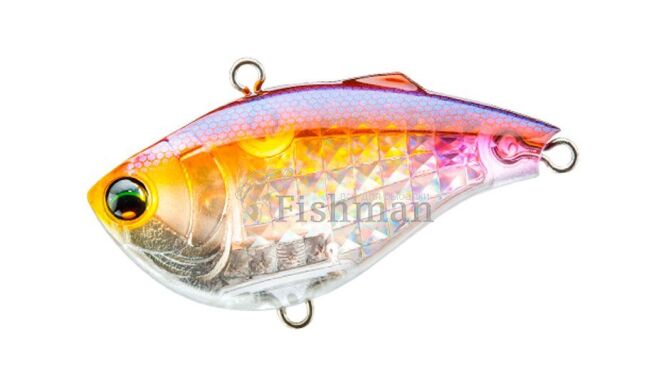 Duel L-Bass Vibe 60S, HWS