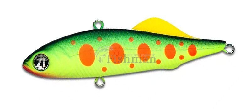 Pontoon 21 Bet-A Vib 61 Nano Sound, 13