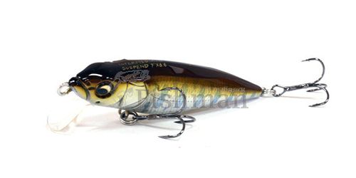 Megabass FX 6.6 Intermediate Suspend, Al Iwana