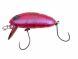 Nories Crankin Boss Pupa Shallow, 321