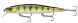 Rapala Precision Xtreme Mavrik 110, PEL