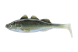 Daiwa Prorex Live Perch 115 mm, Baby Zander