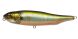 Megabass Giant Dog-X, Wagin Oikawa