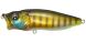 Megabass PopMax, PM Wild Gill