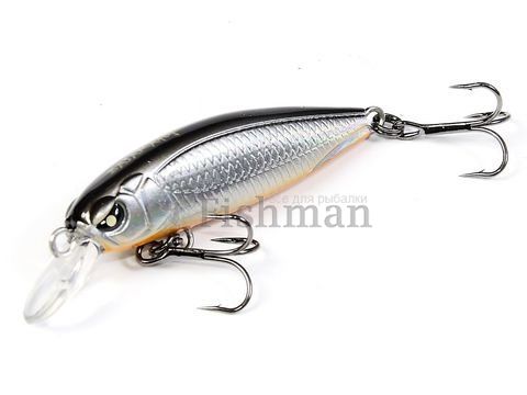 Lucky John Basara 40F, 101