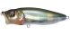 Megabass PopMax, Takumi Hasu