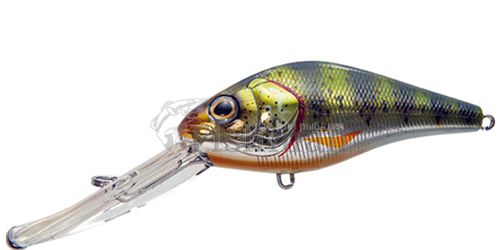 Pontoon 21 Panacea Marauder Shad 80F DR, 03