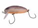 Nories Crankin Boss Pupa Shallow, 344
