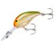 Bandit 300 Series, Parrot Orange