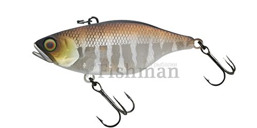 Jackall TN70 Silent, Kotetsu Shibu Silver