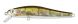 ZipBaits Rigge 70SP, 513
