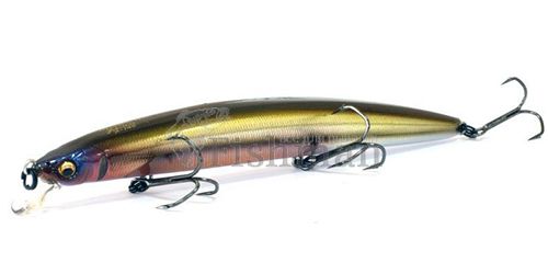 Megabass X-140 World Challenge, Wagin Kawamutsu