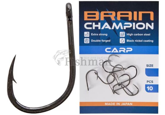 Brain Champion Carp, 10, 6