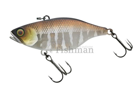 Jackall TN65 Silent, Kotetsu Shibu Silver