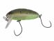 Nories Crankin Boss Pupa Shallow, 347