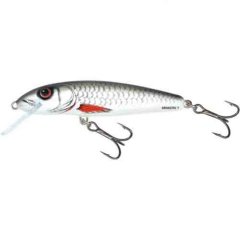 Salmo Minnow F 06, D