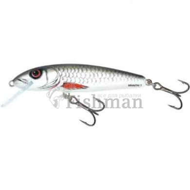 Salmo Minnow F 06, D