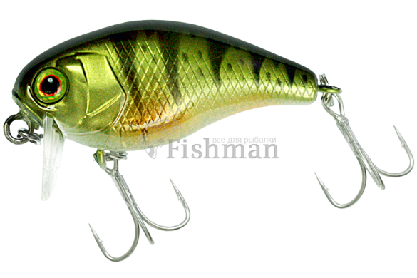 Jackall Chubby 38 SSR, Ghost G Perch