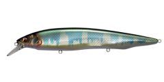Megabass Kanata, Wagin Hasu KT