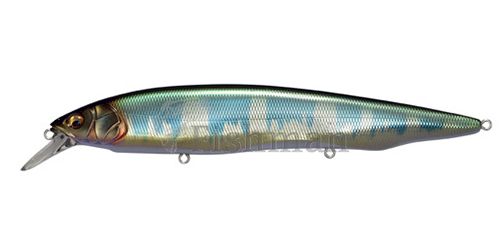 Megabass Kanata, Wagin Hasu KT