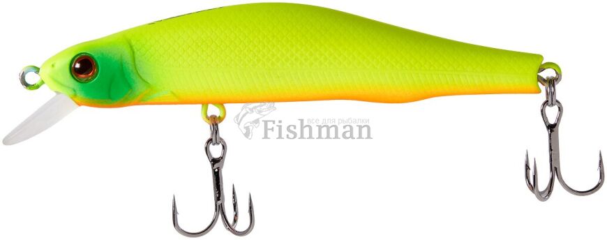 Select Insider 80SP, 01