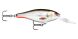 Rapala Shad Rap SR09, ROHL