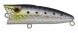 ZipBaits ZBL Popper Tiny, 718