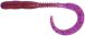 Reins Curly Curly, 583