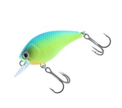 Daiwa Steez Square 100, Blue Back Chart