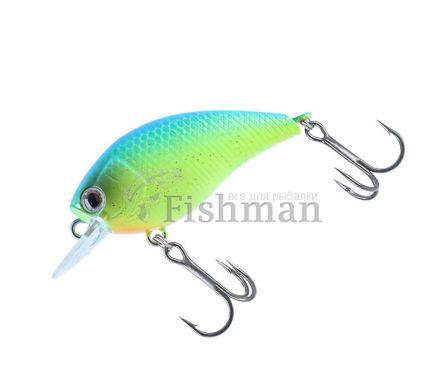 Daiwa Steez Square 100, Blue Back Chart