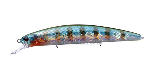 O.S.P Varuna 110 F, BH-45