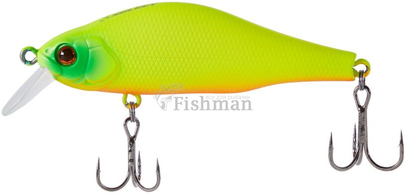 Select Reflex 70SP, 01