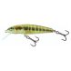 Salmo Minnow F 06, M