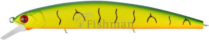 Usami Ebisu 130SP-SR, 567